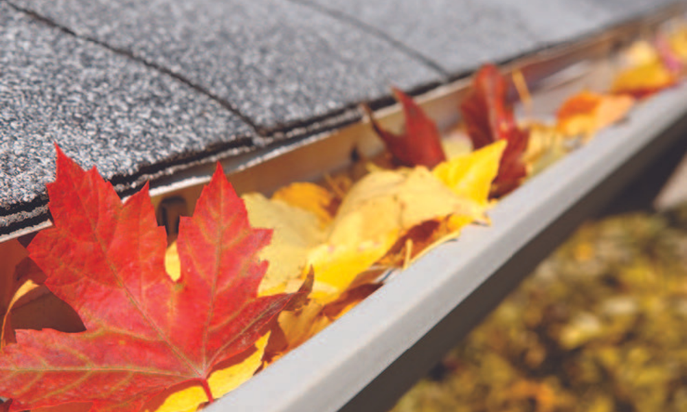 Clean Your Gutters