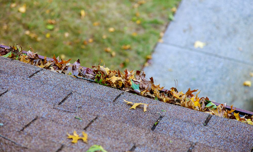 Dirty roof with iron gutter with autumn leaves requiring cleaning